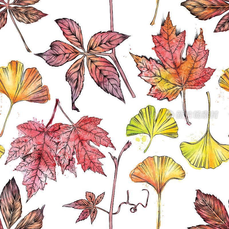 秋叶无缝模式矢量墨水和水彩插图