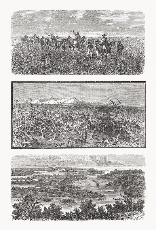 来自澳大利亚的印象，木刻，出版于1893年