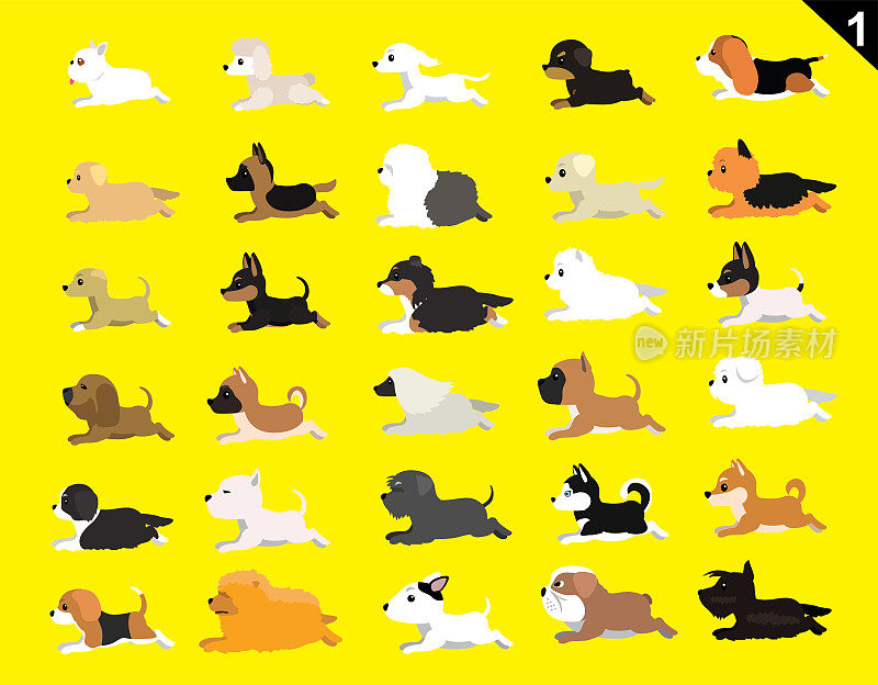 动物动画序列狗各种品种设置1卡通向量
