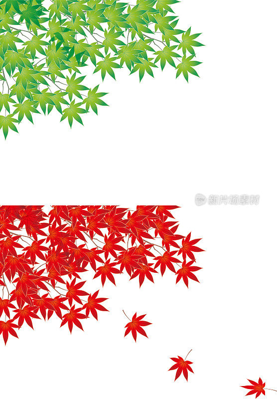 向量插图的蓝色枫树在夏天和红色枫树在秋天