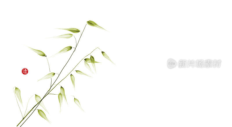 绿色的野生草地草在白色的背景。传统日本水墨画的极简主义风格。象形文字,清晰。