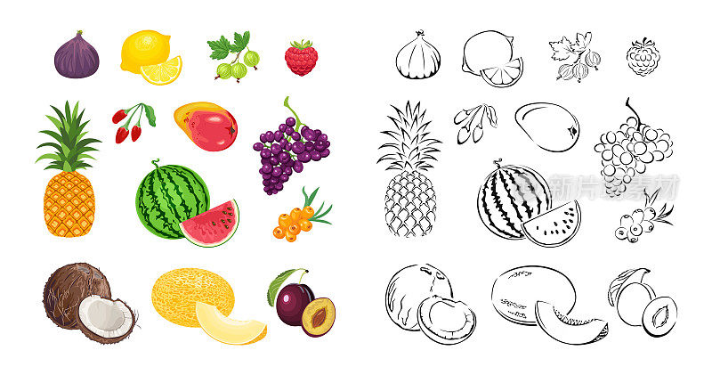 浆果和水果。集合向量彩色水果卡通插图和黑白轮廓。食物图标。