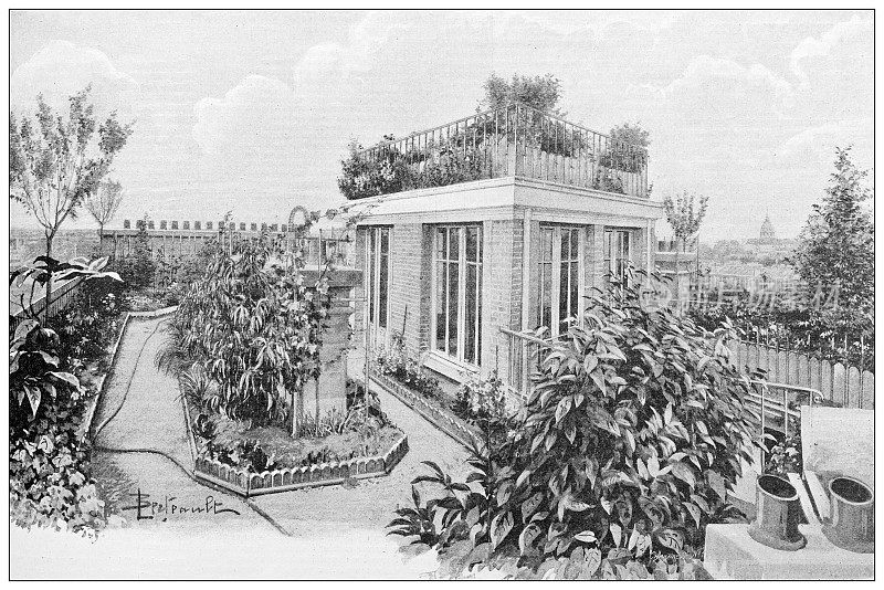 古董图片:巴黎的屋顶花园