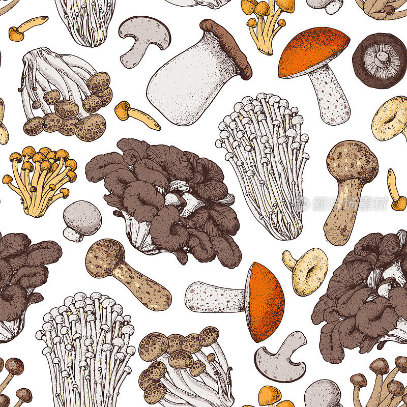 蘑菇无缝模式。手绘。各种蘑菇手绘矢量插图。食品的背景。森林蘑菇。