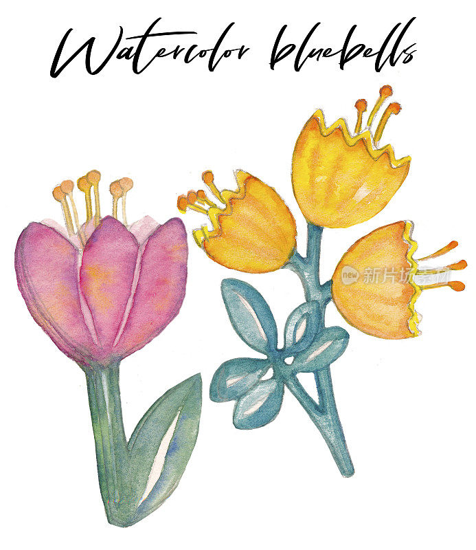 水彩手绘风信子剪贴画，手绘风信子，简单的花卉设置，水彩元素，不同的花卉
