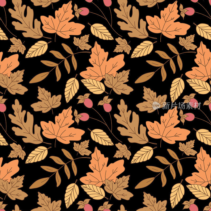 秋天的无缝图案与各种树叶和植物，季节性的花朵在黑色的背景。矢量图形。