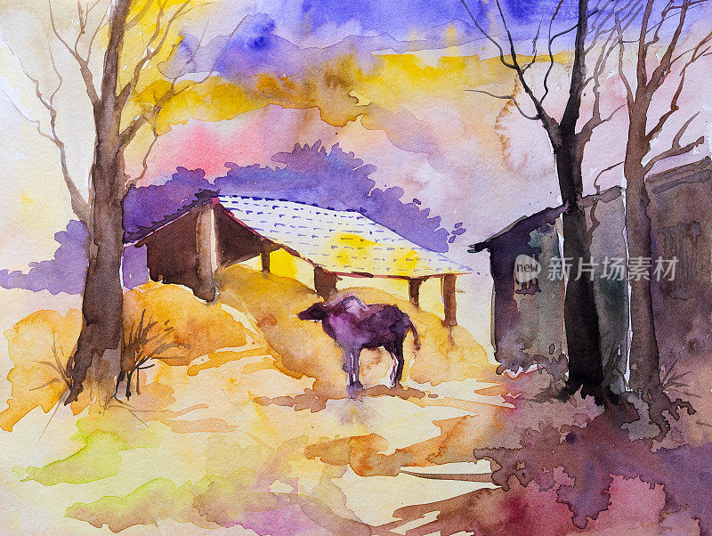 自然水彩画的印度乡村景色，孤独的牛在树荫前与夕阳黄昏背景。