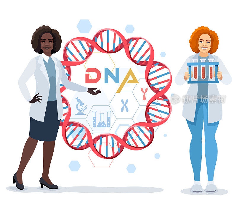 非裔美国女医生角色显示DNA螺旋模型。有试管的科学家。医学实验室概念。医学实验室概念。