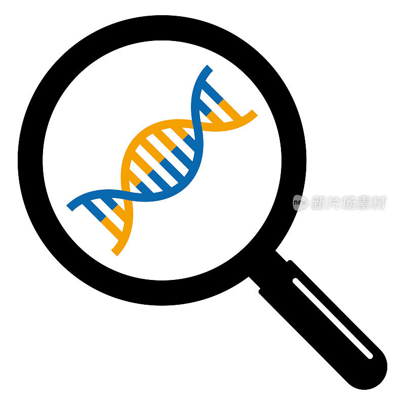 用放大镜放大DNA的简单矢量图标说明