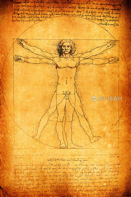 经典的达芬奇人体解剖学画