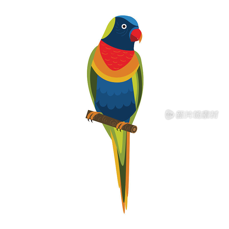 彩虹鹦鹉异国情调的鹦鹉在平面设计