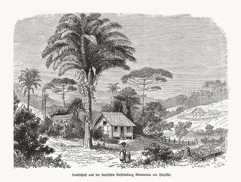 巴西圣卡塔琳娜市布鲁梅瑙的历史观木版画，1893年出版