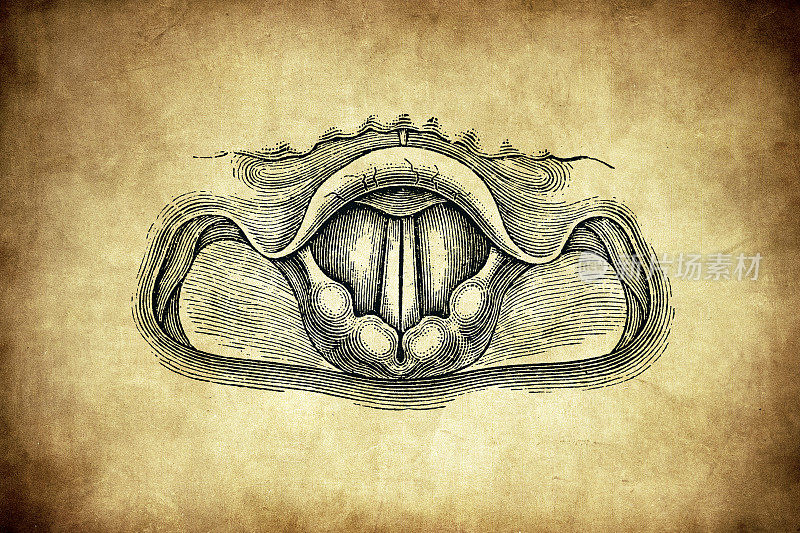 当声音产生时喉镜成像