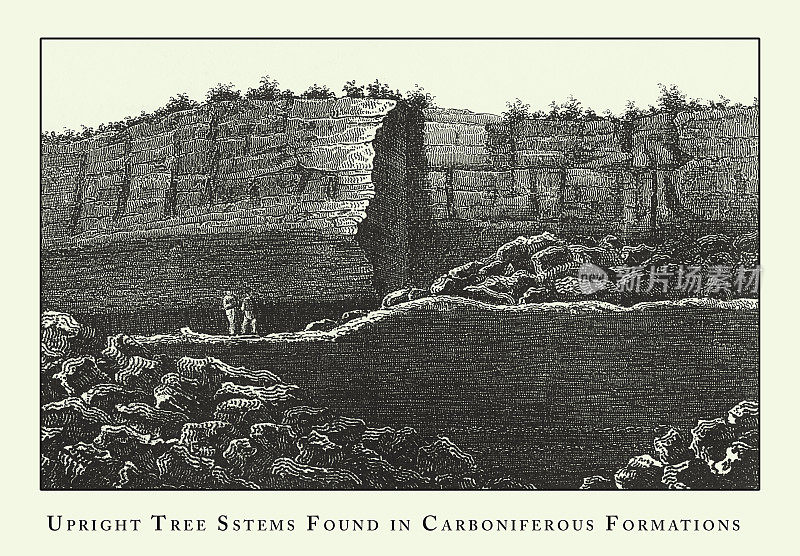 雕刻古董，直立的树干发现石炭纪，洞穴，冰山，熔岩和岩层雕刻古董插图，出版1851年