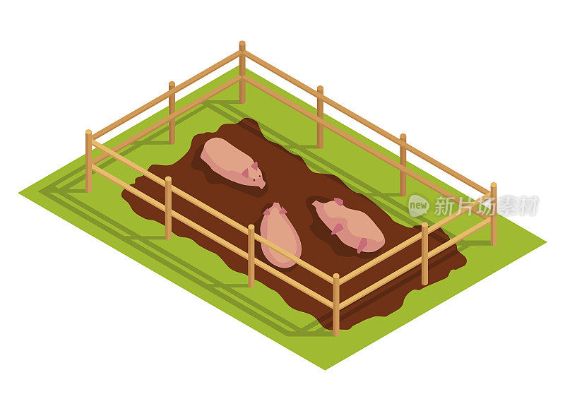 等距农村农场。木栅后面沼泽里的猪。代表乡村元素的矢量图标