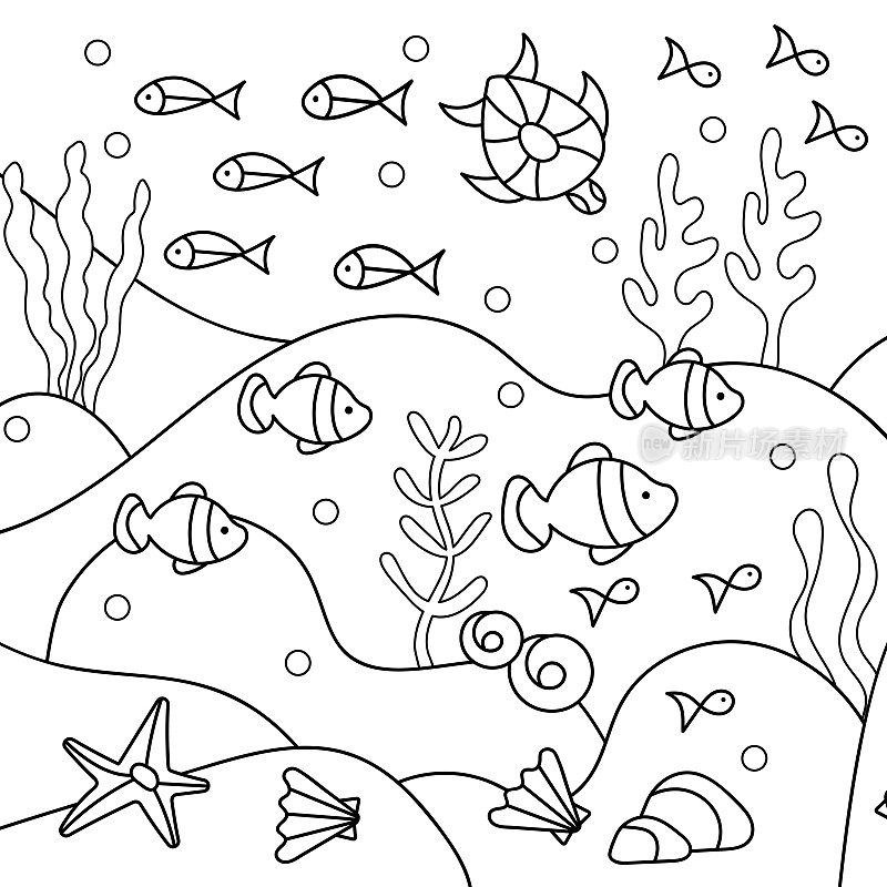水下世界涂色页。海藻，鱼，海龟壳。手绘矢量着色书或背景