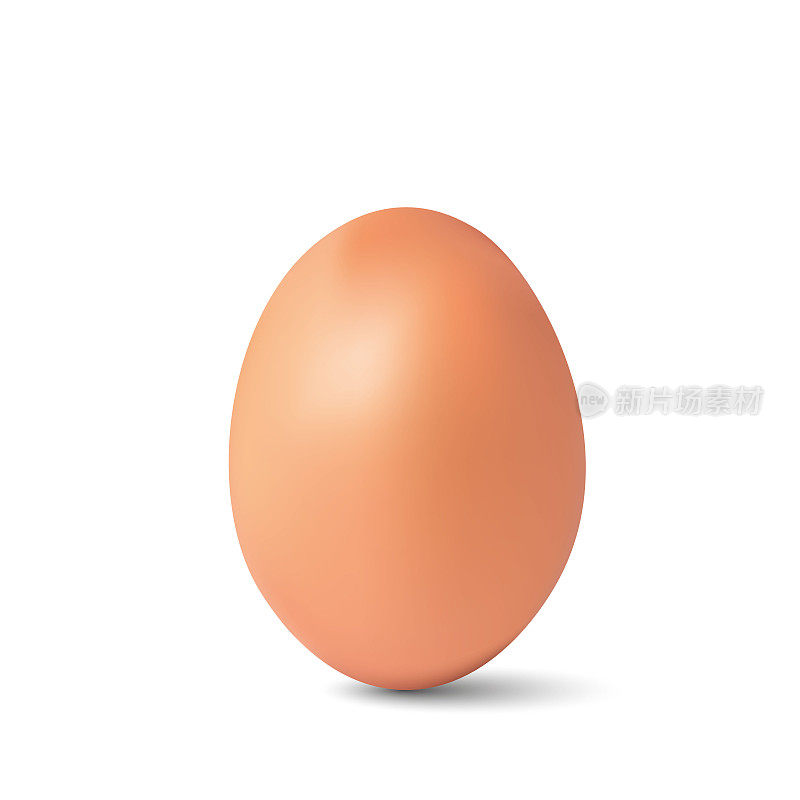 棕鸡蛋分离在蛋白上。矢量插图。