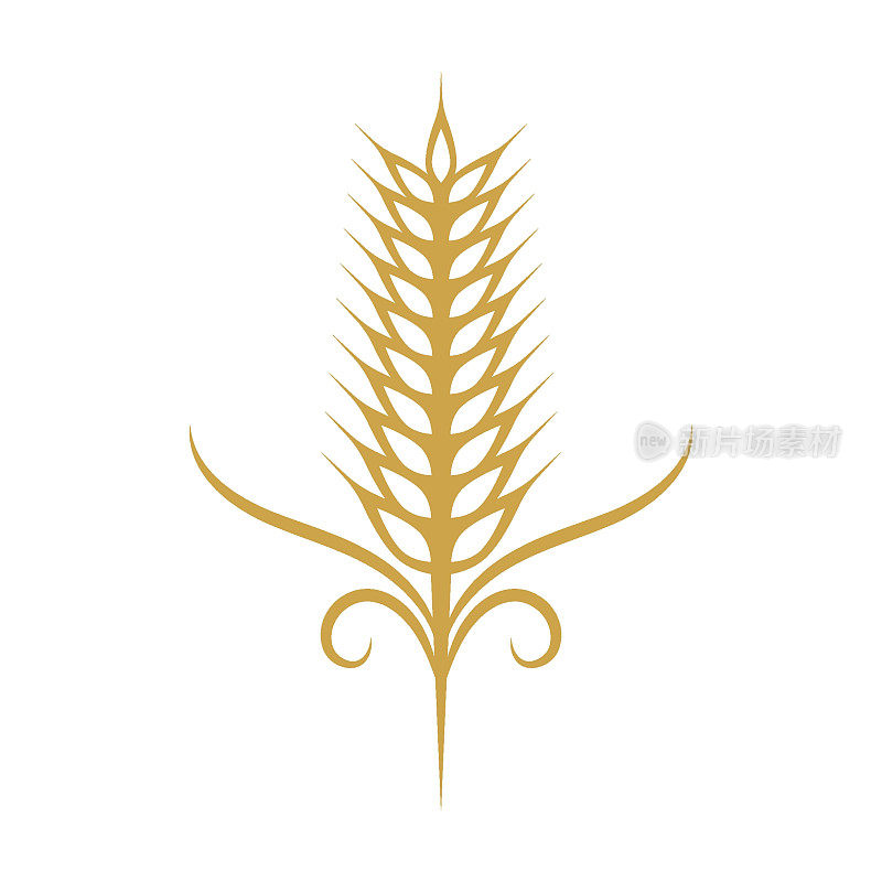 小麦插图设计