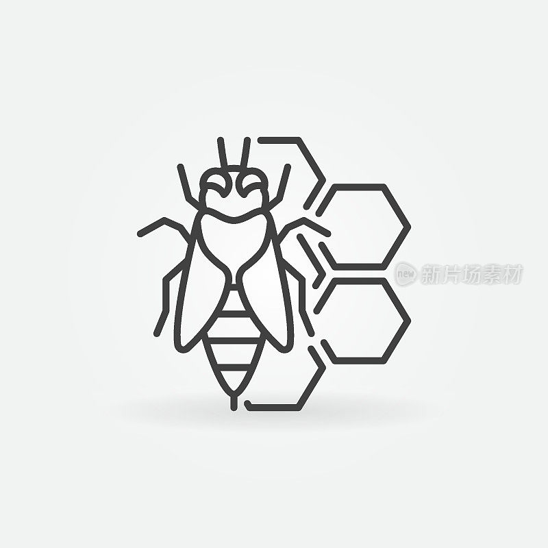 蜜蜂和蜂巢概念图标