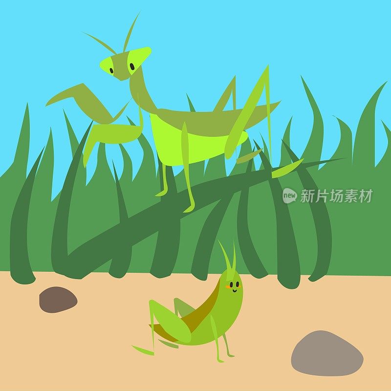 可爱的虫子。绿色螳螂和蚱蜢。草里的甲虫。卡通昆虫角色。小动物。有天线的蝗虫。跳的动物。草原动物。矢量图