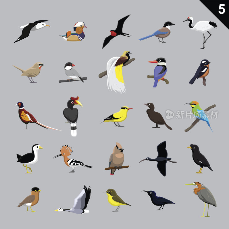 各种鸟类卡通矢量插图5
