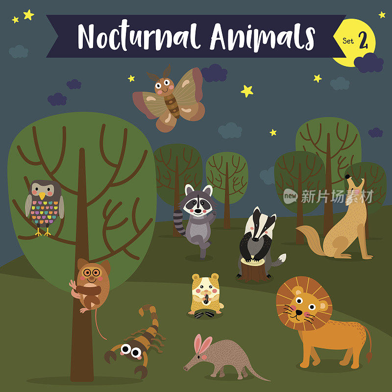 夜间动物卡通森林背景。矢量插图。组2