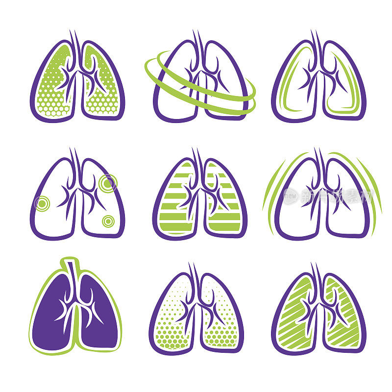 关于肺