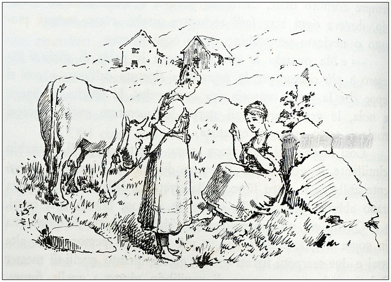 古插图的人和地方的意大利阿尔卑斯山，瓦尔赛西亚，皮埃蒙特:妇女和奶牛
