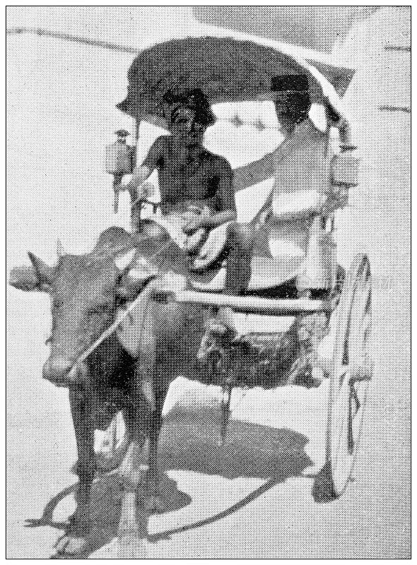斯里兰卡的古董旅行照片:马车