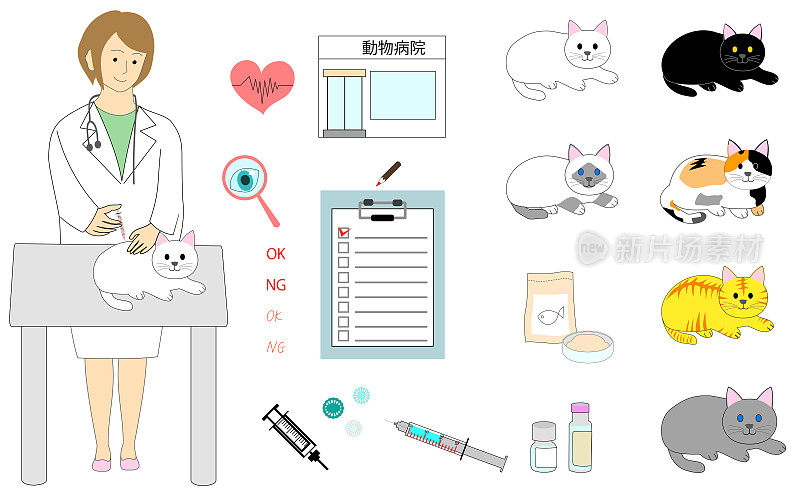 一名女兽医正在给一只猫注射疫苗，以预防FVRCP、狂犬病、猫白血病