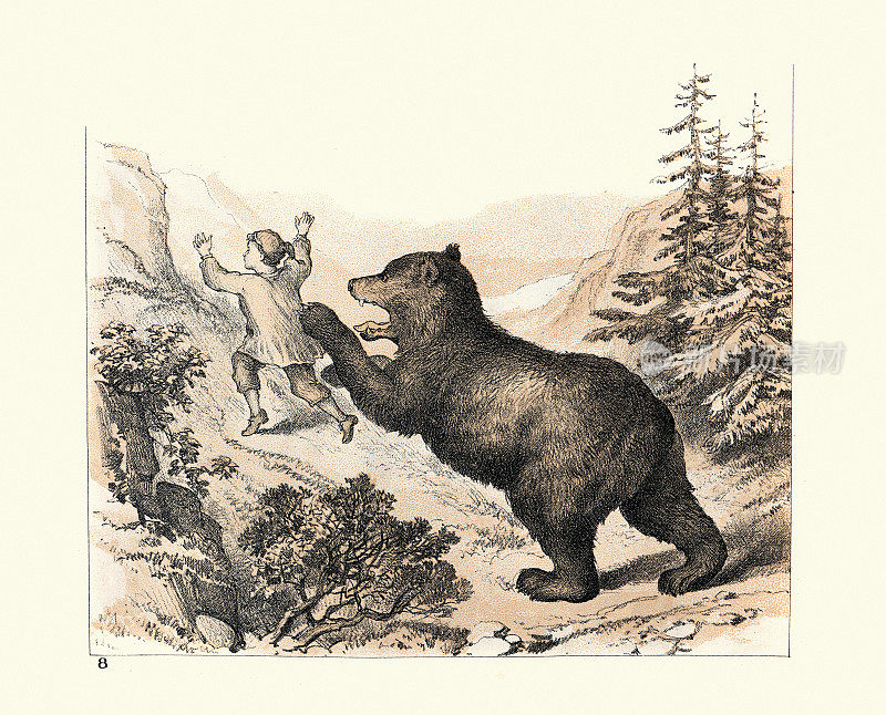 在瑞士山区，熊袭击了一个男孩，维多利亚时代19世纪80年代