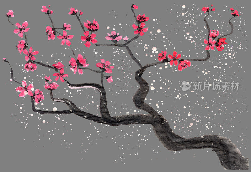 东方新年贺卡。日本传统画风Sumi-e在灰色背景上的中国梅花和盛开的树枝