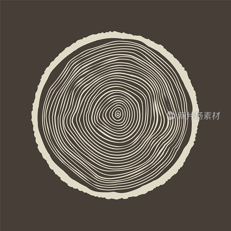 圆树干切割，锯松或橡木片。锯子砍木头，木头。棕色木质纹理，带有树的年轮。手绘草图。矢量图