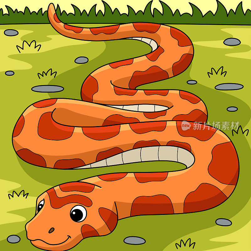 玉米蛇动物彩色卡通插图
