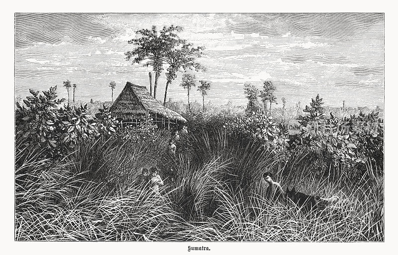 印尼苏门答腊的历史风貌，木刻，1899年出版