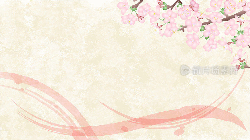 日本纸背景与粉红色笔触和日本风格的三维樱花树枝的材料。