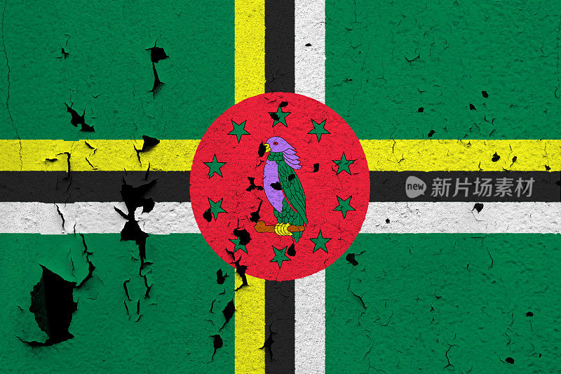 多米尼加国旗