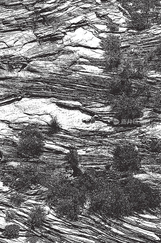 犹他州锡安国家公园的纳瓦霍砂岩层