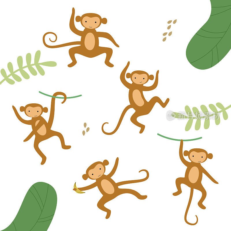 向量集合的可爱画猴子。非洲棕色猴子在丛林中摆出不同的姿势。植物中的猴子家族和猴群。