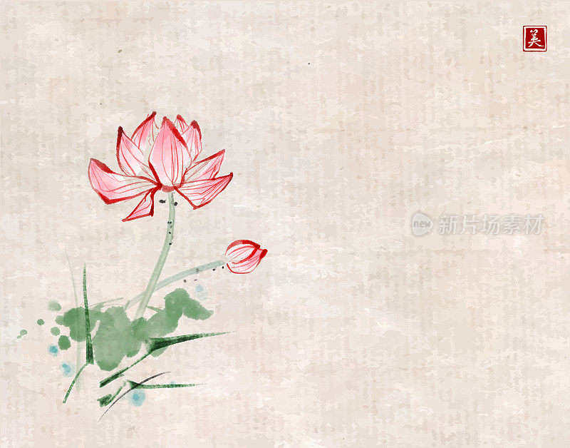 在复古的背景上用墨水手绘莲花。传统东方水墨画梅花、梅花、梅花。翻译象形文字-美