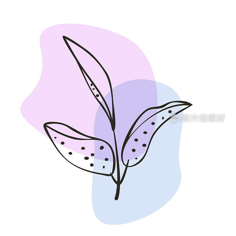 树叶枝叶剪影，手绘水墨笔触设计，植物海报，最小的波西米亚风格剪纸，抽象点形状，蓝色，粉红色调色板颜色，白色背景。向量
