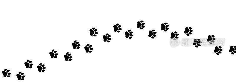 一组老虎或猫的脚印。爪印。一行脚印。向量模板。插图孤立在白色背景上。