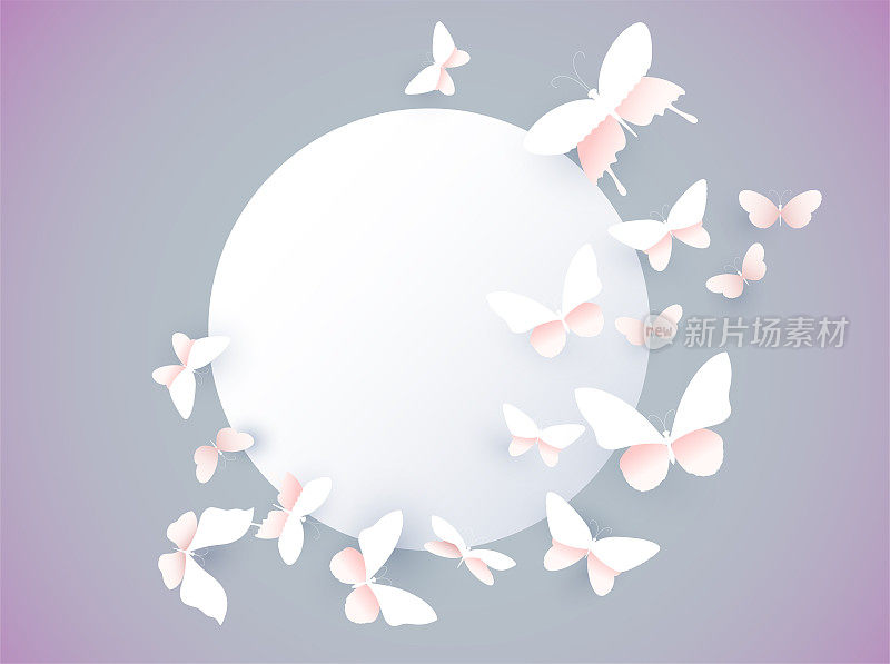 纸蝴蝶剪影白色设置孤立在白色背景