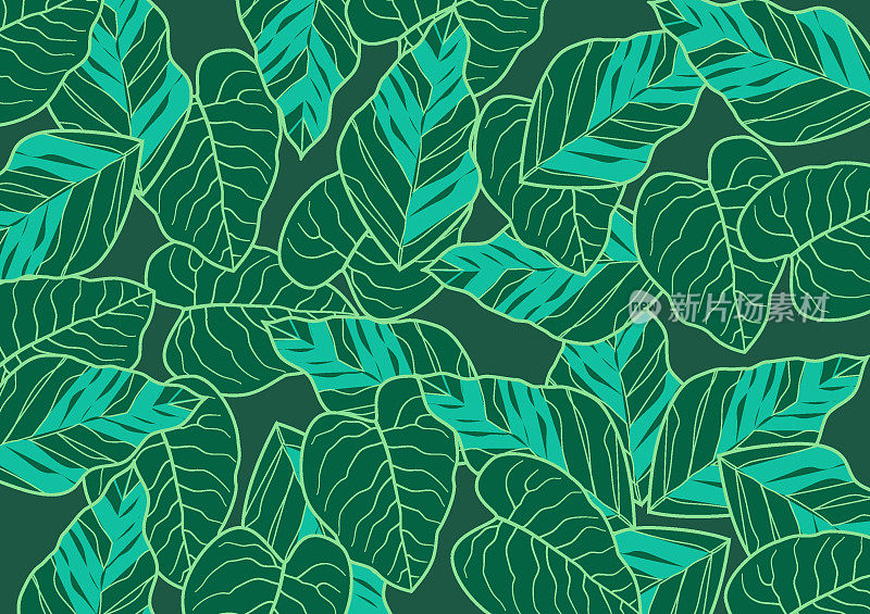 摘要热带和叶子上深绿色的背景。豪华壁纸的绿色热带树叶和树木。夏季丛林的线条艺术，用于横幅、印花、装饰。