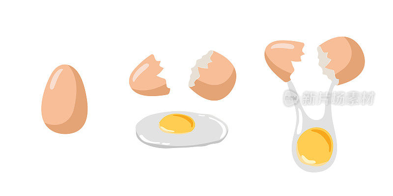 棕色的鸡蛋。蛋壳破裂的全蛋和碎蛋。天然健康食品蛋白烹饪原料。白色背景上分离的矢量食物成分。平面设计，菜单，咖啡馆，烹饪课。