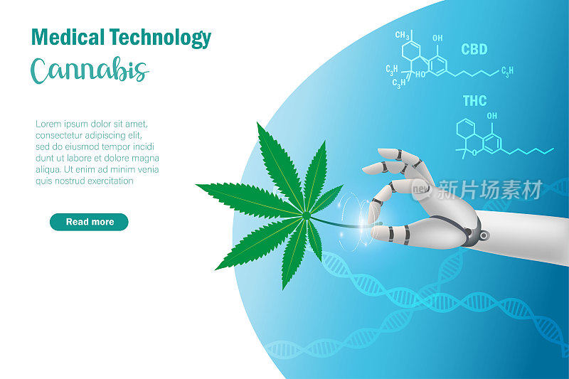 机器人手持大麻叶四氢大麻酚CBD分子结构。医疗机器人，实验室研究中的人工智能，病人治疗和保健的创新技术。