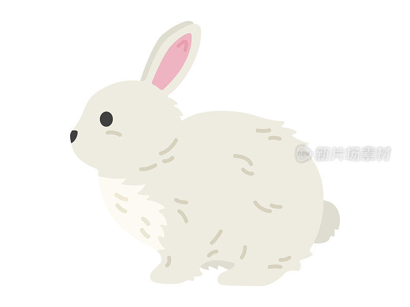 从侧面看一只白兔的插图。