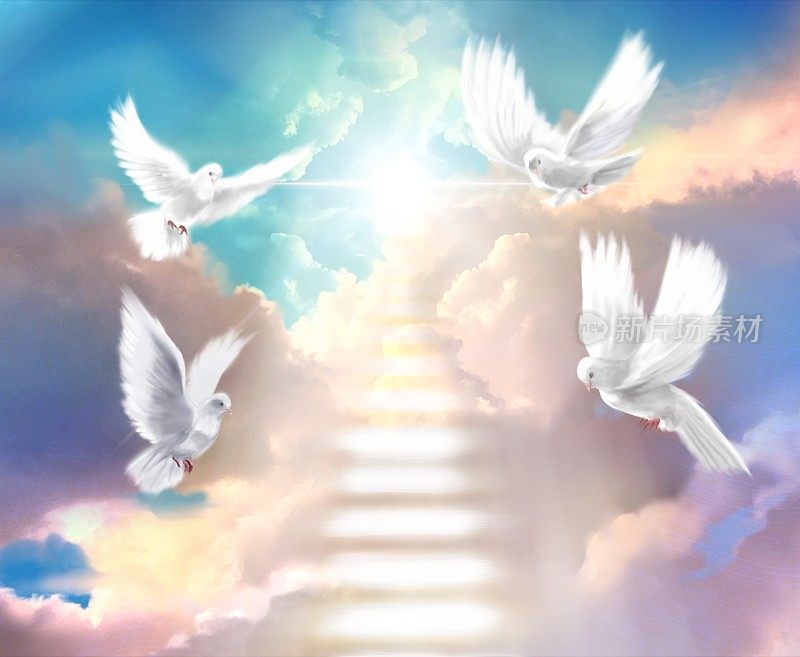 幸运的背景插图是一只白色的鸽子，象征着和平，在天堂的神秘云海周围飞行