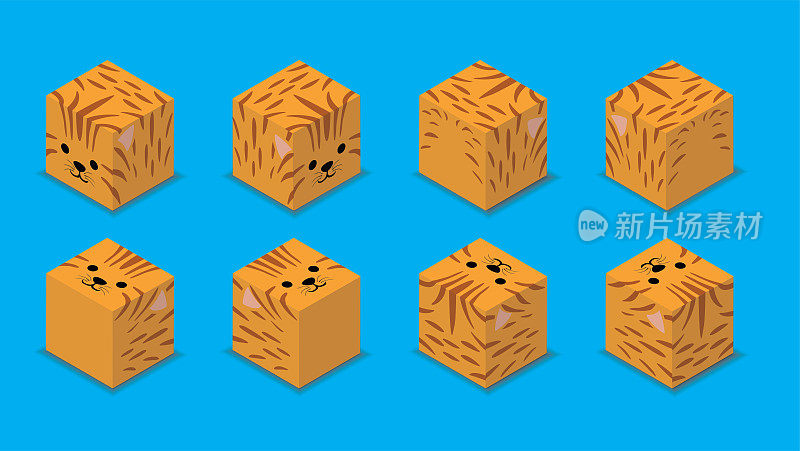 动物骰子3D字符动物橙色猫卡通矢量
