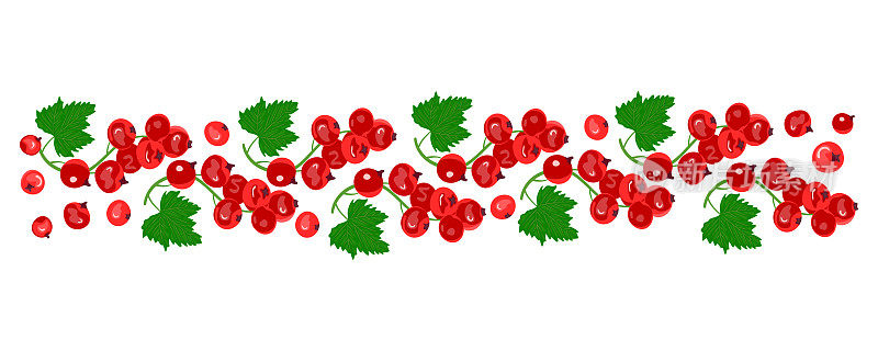 一种带有绿叶的红醋栗浆果的图案。健康饮食的概念。成熟的浆果。摘水果。矢量插图在一个平面的风格。